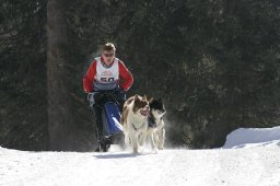 San Bernardino 2008
